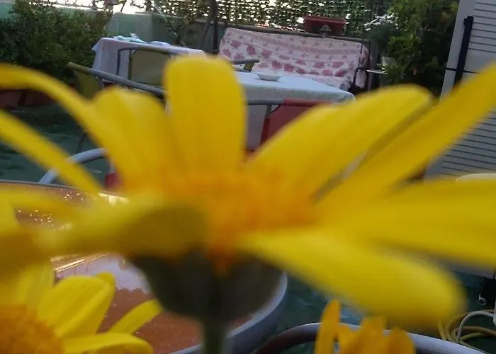 Dolcevita לינה וארוחת בוקר 4*